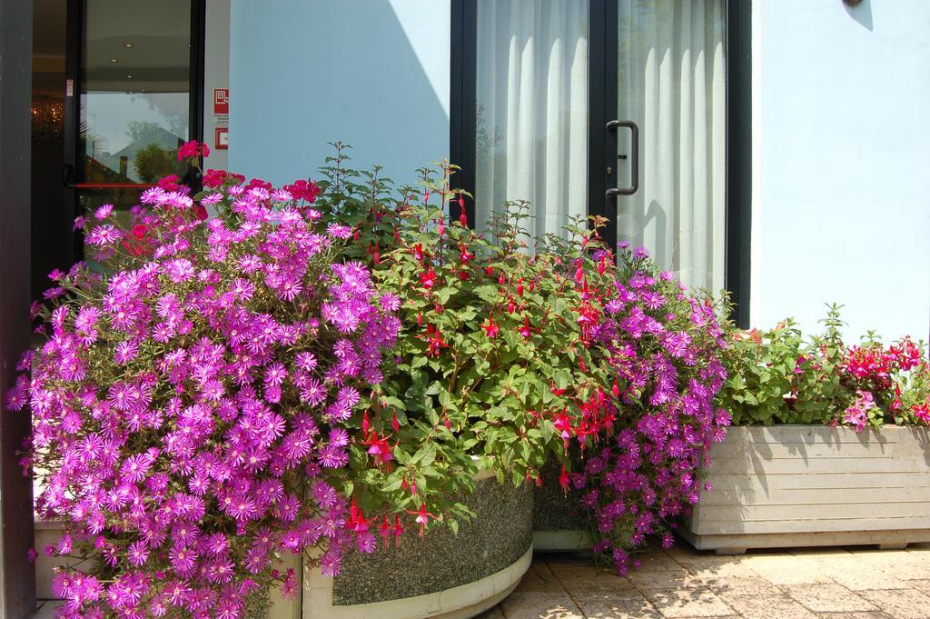Hotel Massimo Cervia Ngoại thất bức ảnh